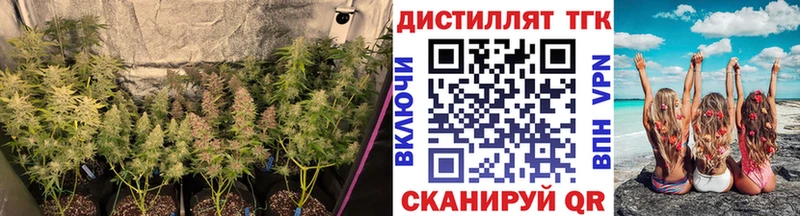 Дистиллят ТГК вейп с тгк  Бор 