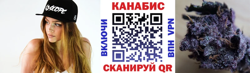 Бошки Шишки MAZAR Бор